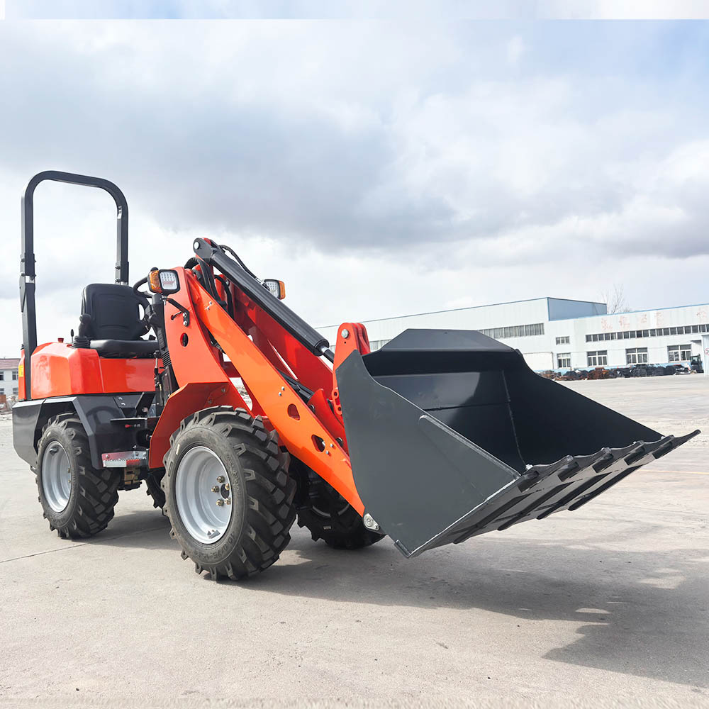 Cena ładowarki skidsteer