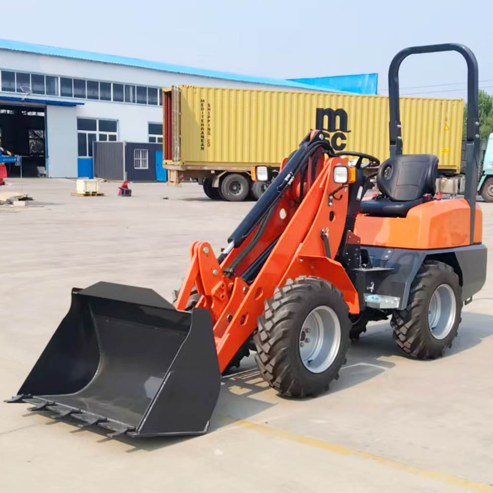 Cena ładowarki skidsteer