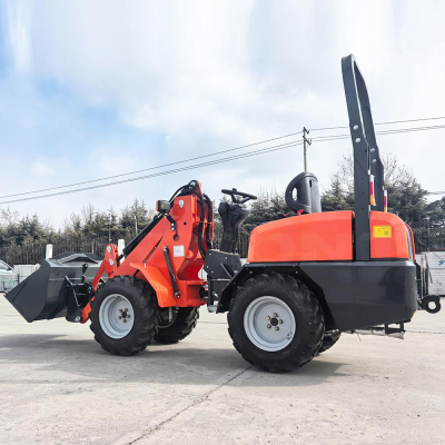 Cena ładowarki skidsteer