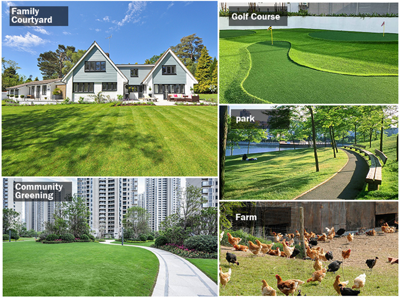 Automatyczna kosiarka do trawy.jpg